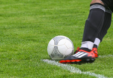 Europei di calcio 2024: il cane veggente